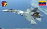 Aviacion Militar Bolivariana de Venezuela (Su-27) Modulo-2