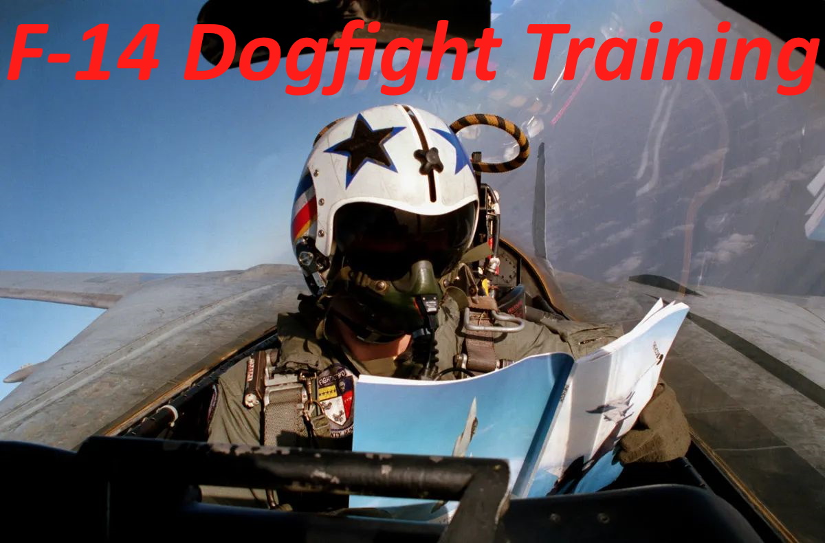F-14B - Dogfight Training (v0.2)