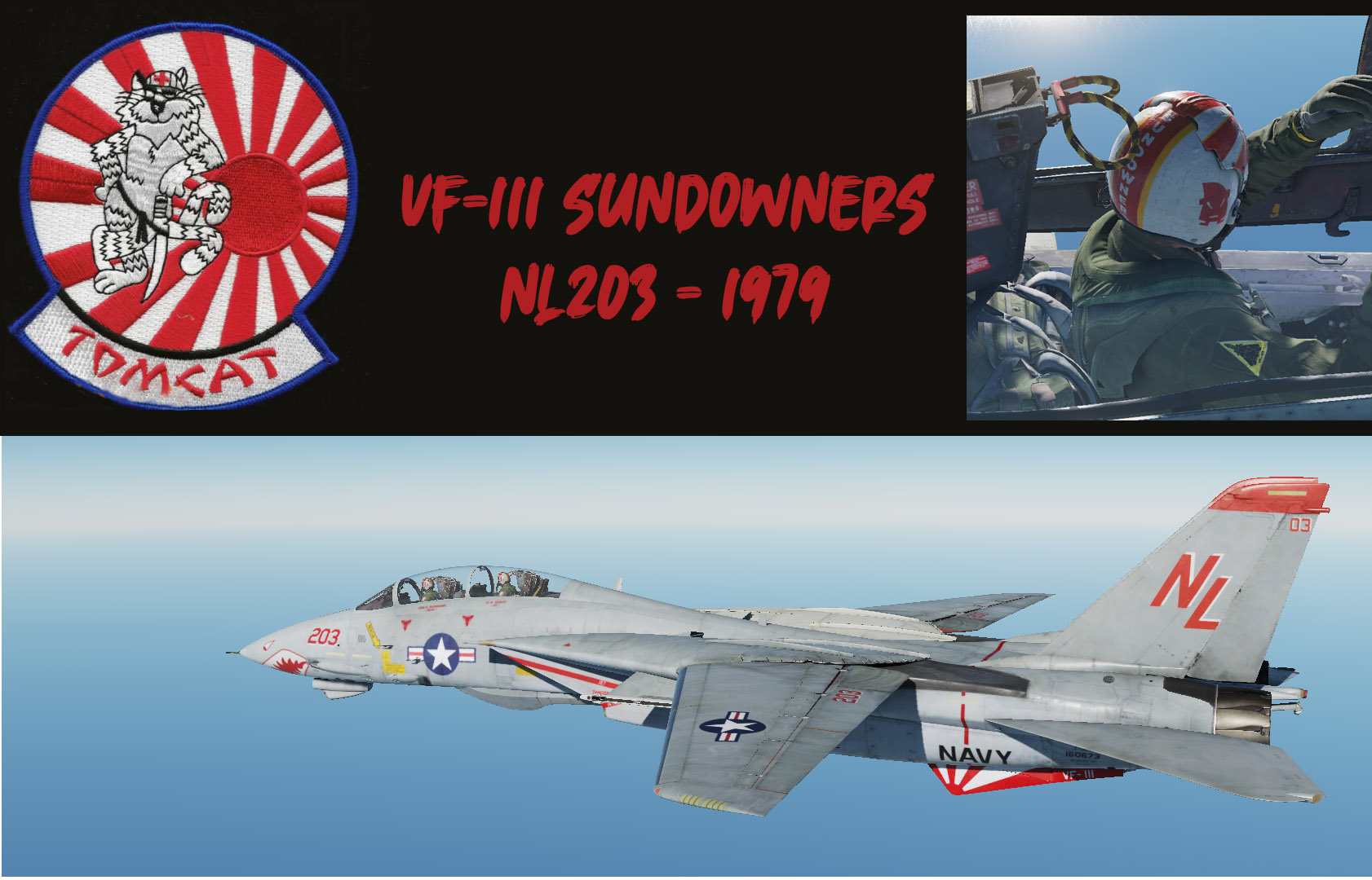 VF-111 Sundowners 1979