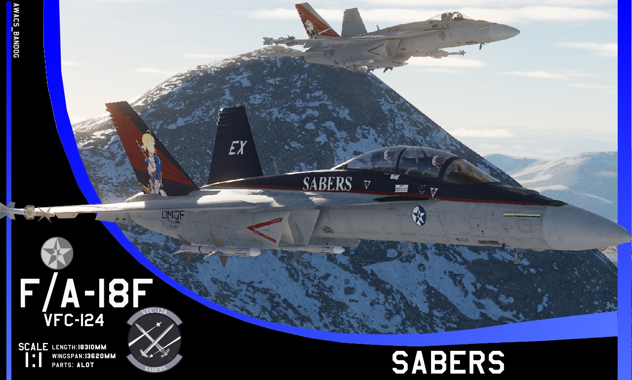Ace Combat - VFC-124 'Sabers' 