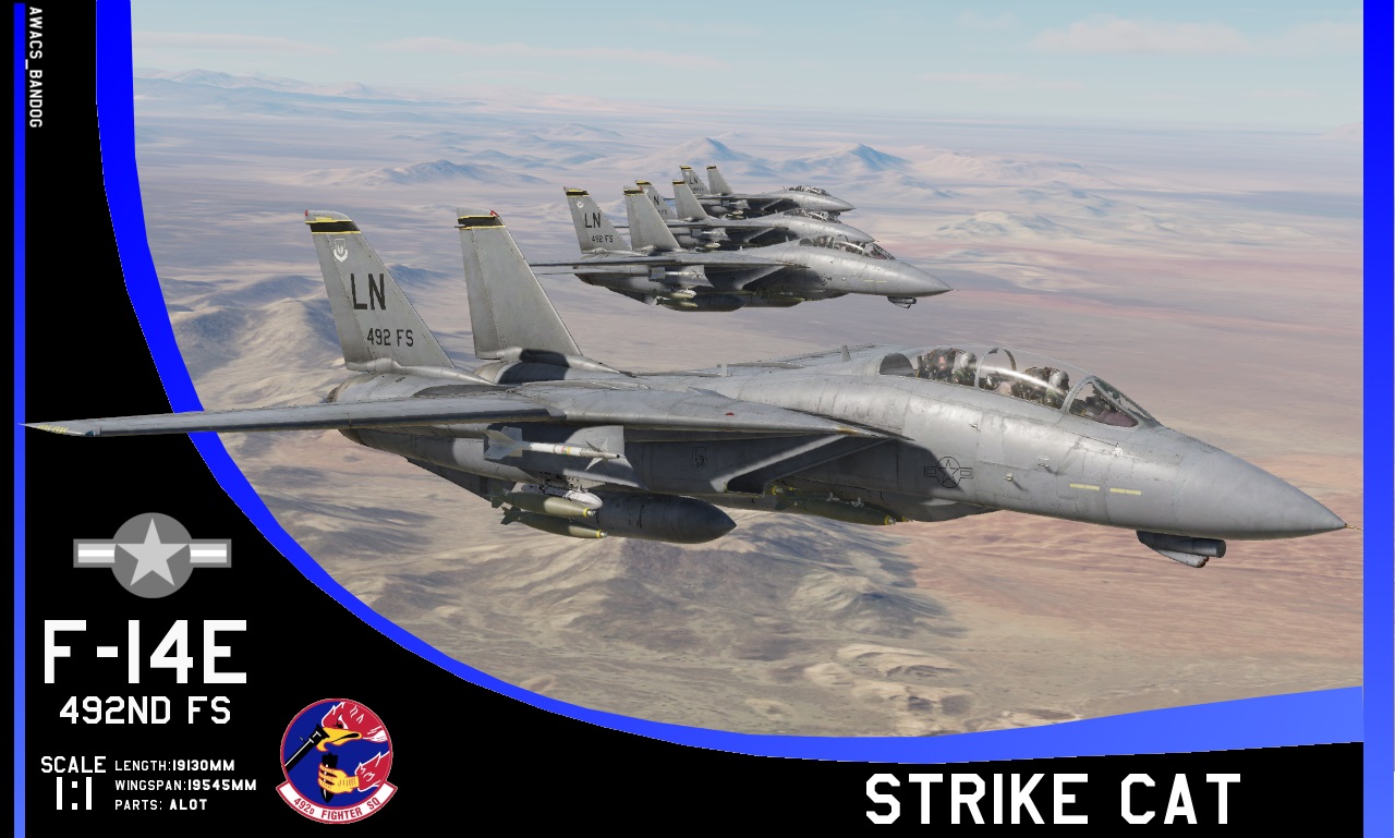 USAF F-14E "Strike-Cat" (Fictional)