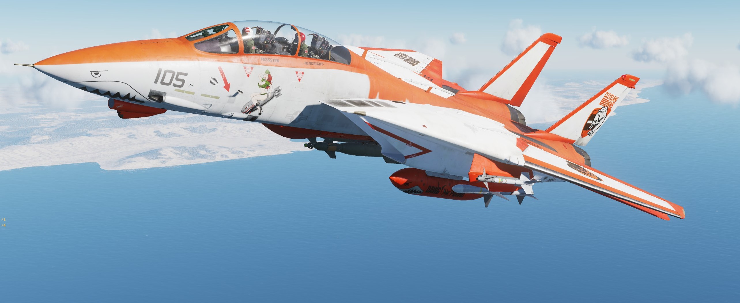 F-14B Browns more Orange