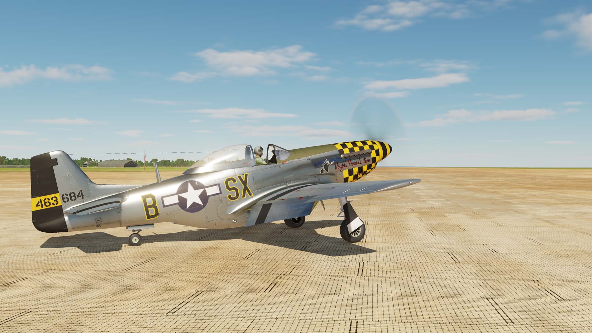P-51 Double Trouble Two - with PSD source files