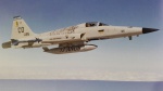  Northrop F-5E Tiger II - FAB 4865 “Pampa 53 years”