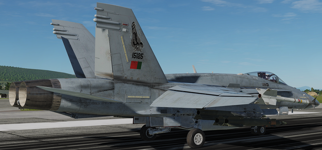 PORTUGUESE AIR FORCE F/A-18C HORNET "FALCOES" FICTIONAL