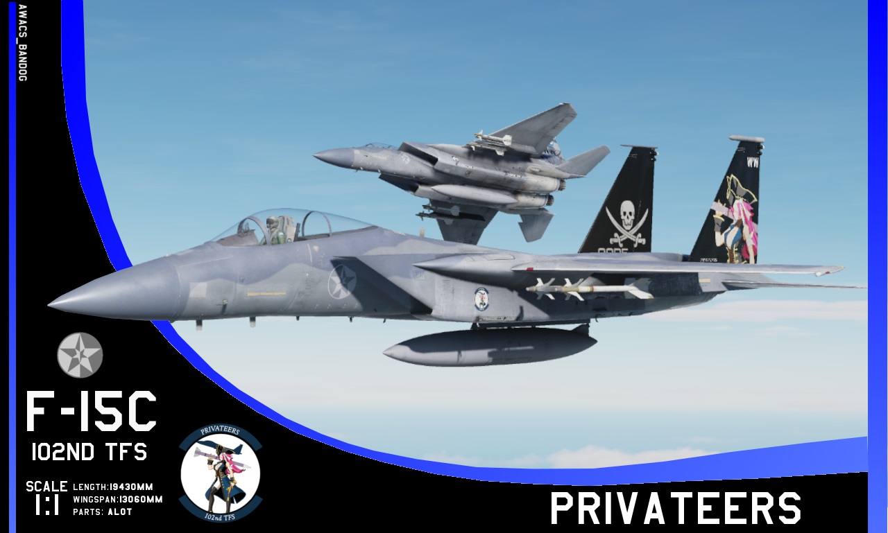 Ace Combat - 102nd Tactical Fighter Squadron "Privateers" 