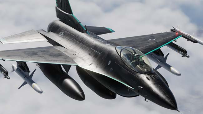 Blu Arrow Force F-16C Viper Skin - Jet Black (3)