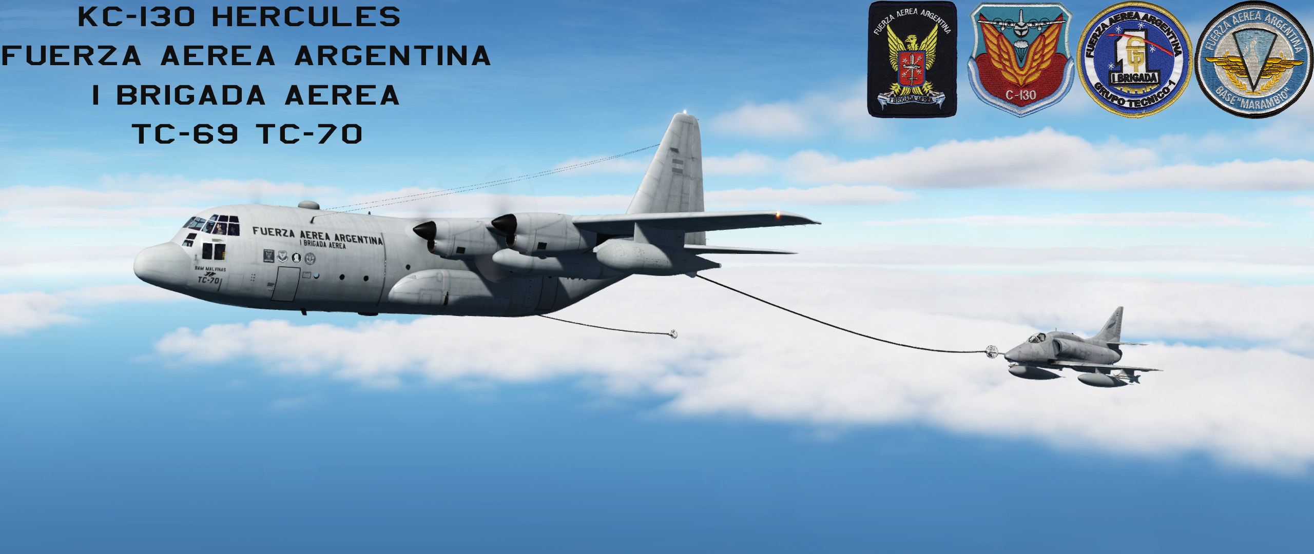 KC-130 y C-130 Fuerza Aerea Argentina Baja Visibilidad + "SEA" CAMO