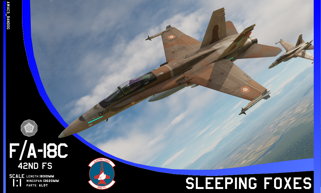 Ace Combat Federal Erusean Air Force 42nd Fighter Squadron "Sleeping Foxes"