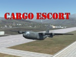 Cargo Escort