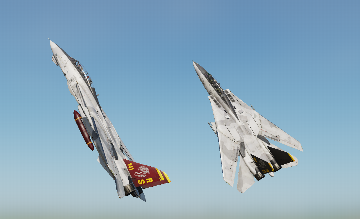F-14 - 141st - Royal Sidewinders - Leader