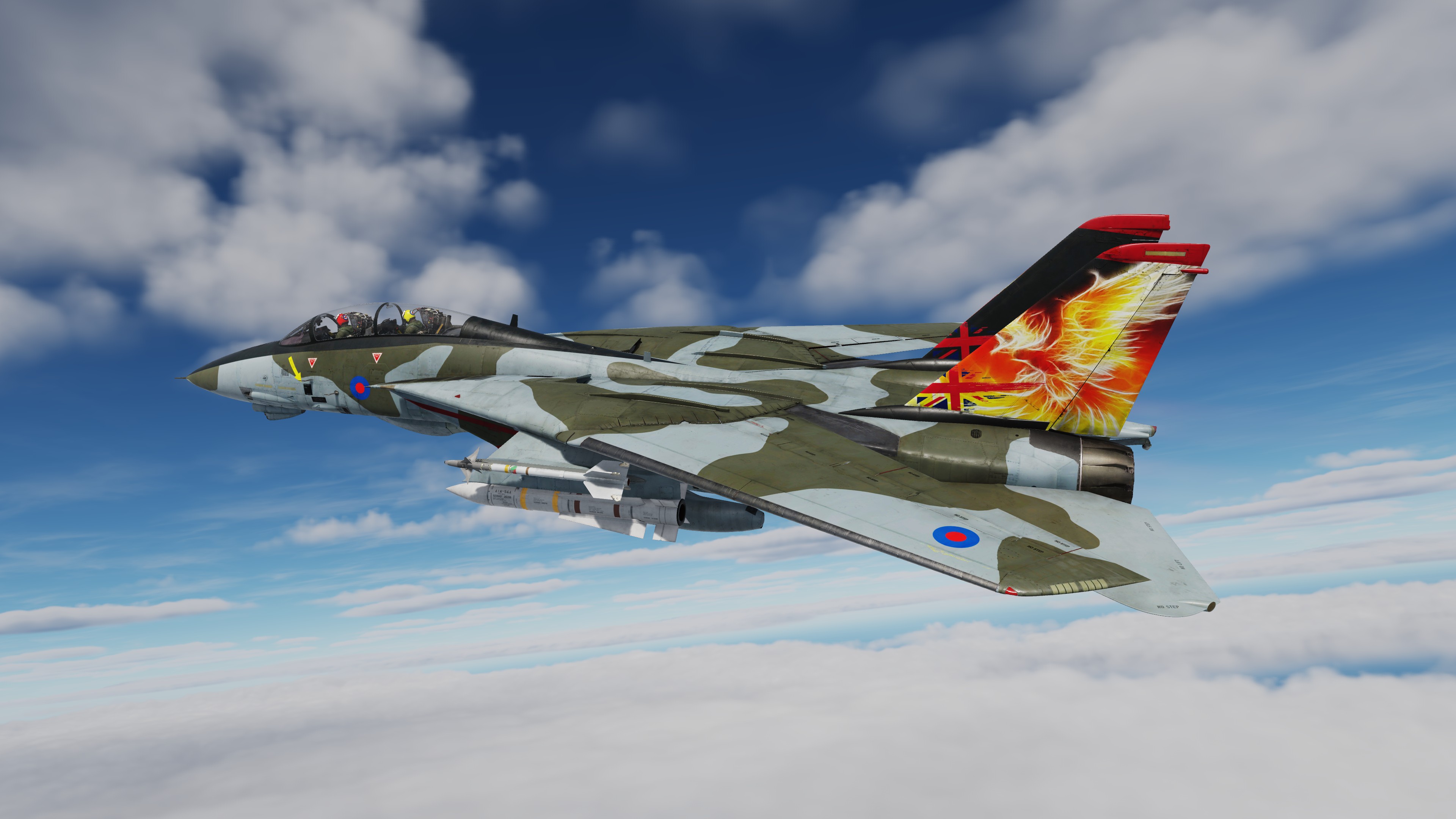 RAF F-14B V Force Camo Scheme Phoenix