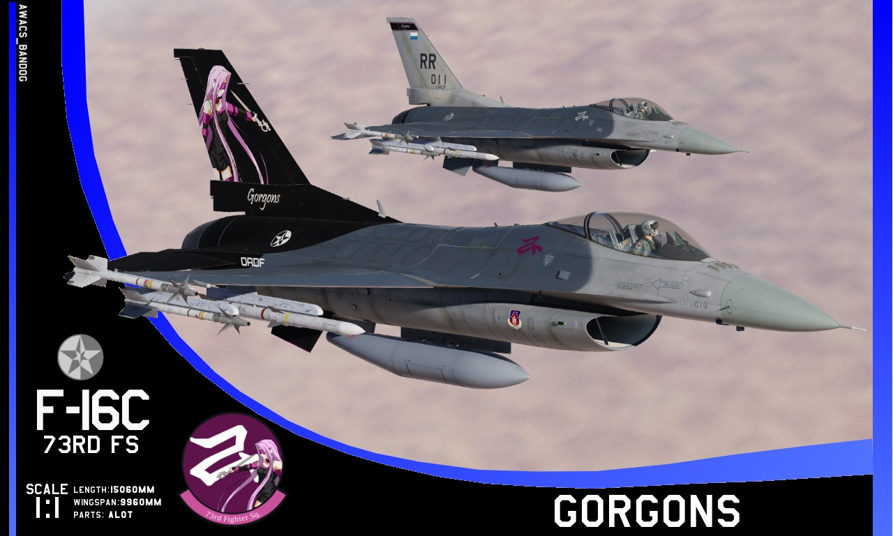 Ace Combat - 73rd Fighter Squadron "Gorgons" 