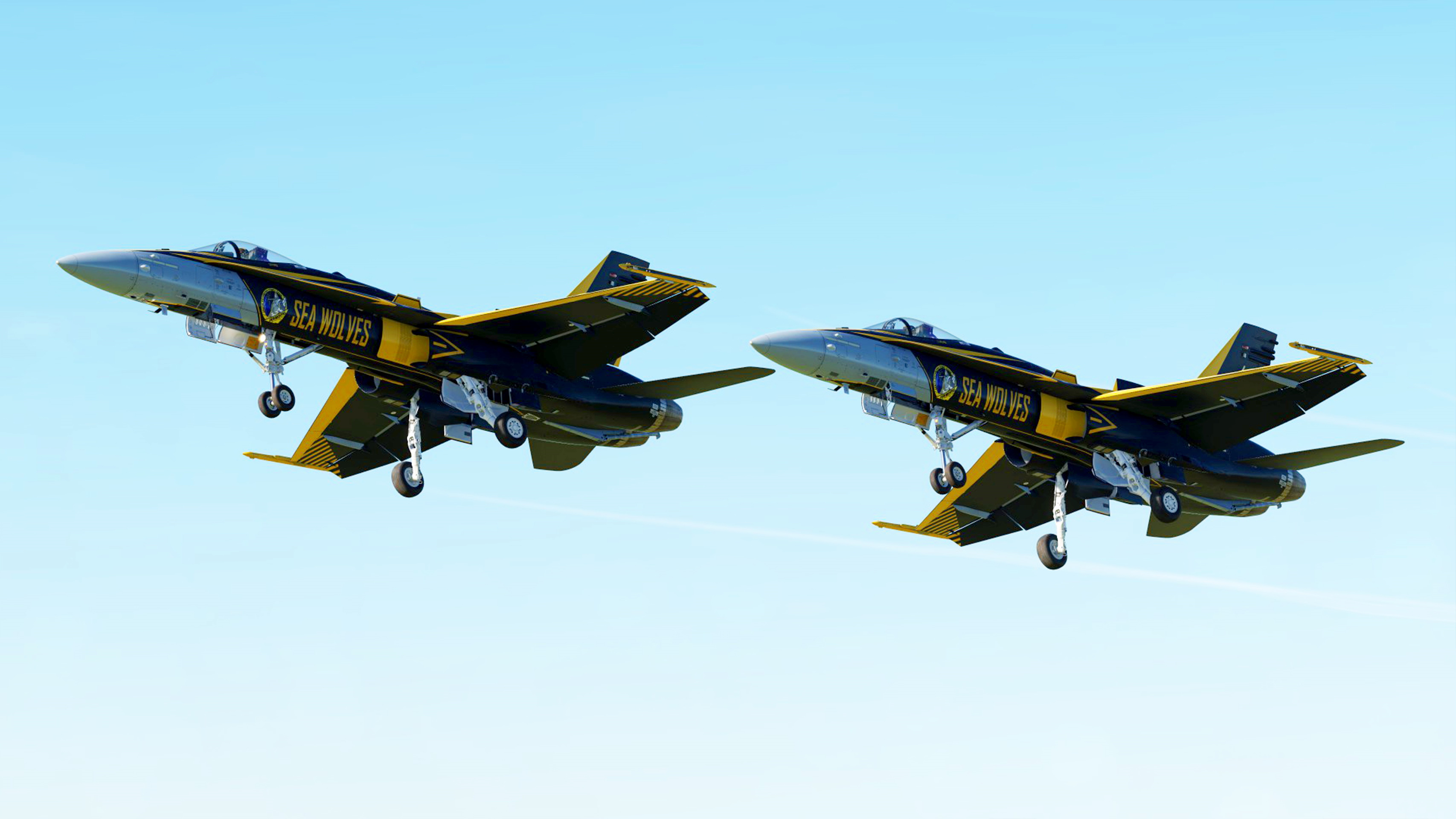 Sea Wolves Team Skin