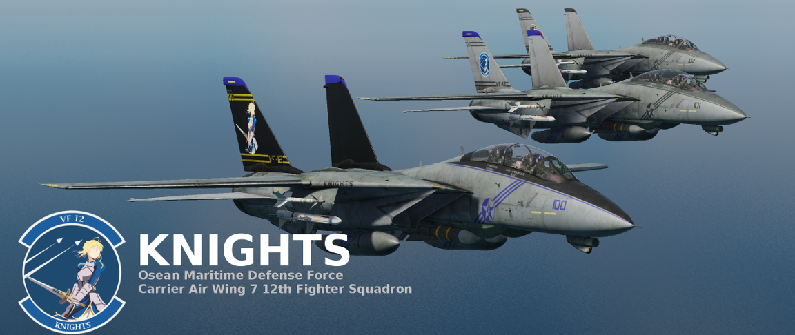 Ace Combat - VF-12 'Knights' Skin Pack