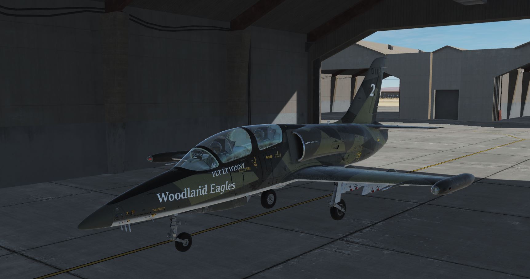 Virtual Woodland Eagle 2