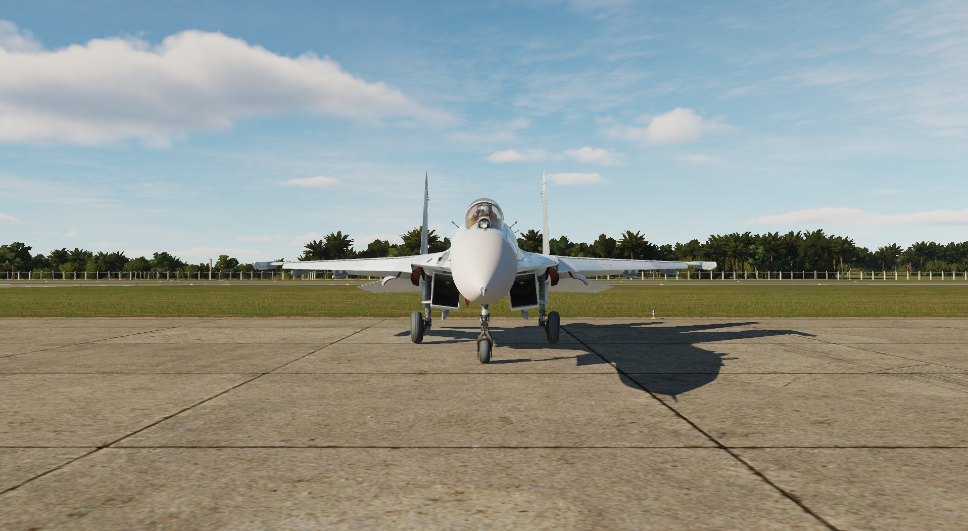 Sukhoi Su-27 of Vietnam People's Air Force