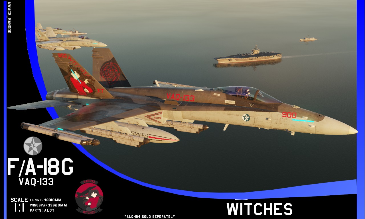  Ace Combat - Electronic Attack Squadron 133 "Witches"