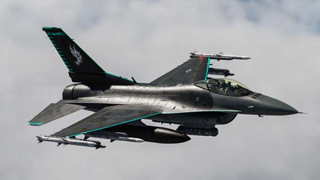 Blu Arrow Force F-16C Viper Skin (1)