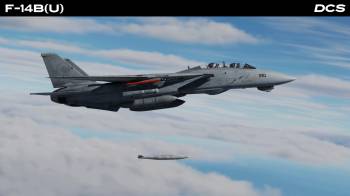 DCS: F-14B (U) Preorder
