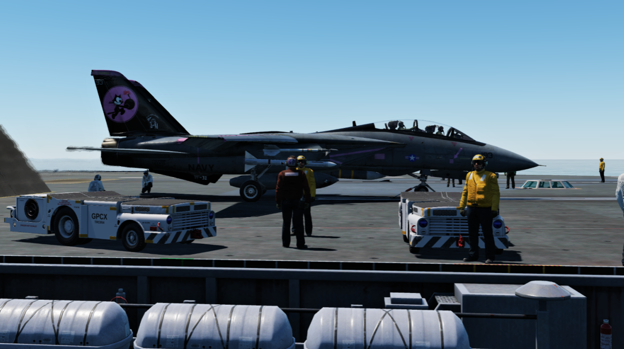 Official Lozzie F-14B Skin