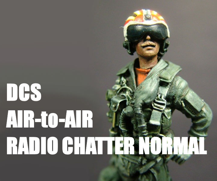 DCS Air-to-Air Radio Chatter Normal