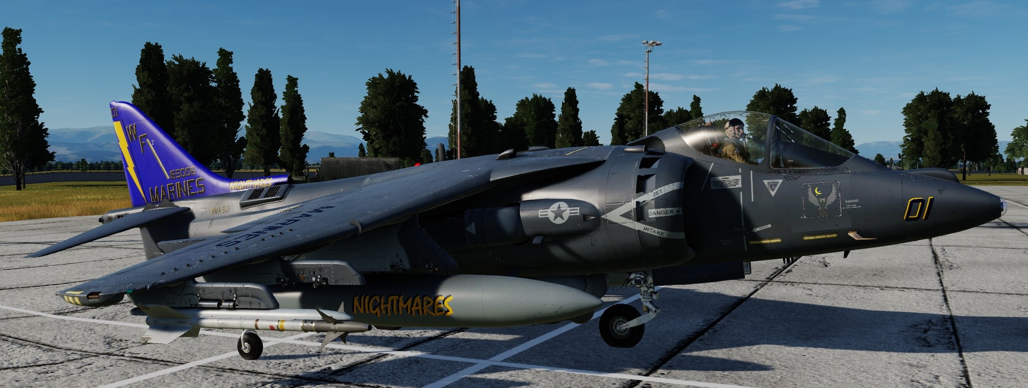 AV-8B VMA-513 CO's Jet