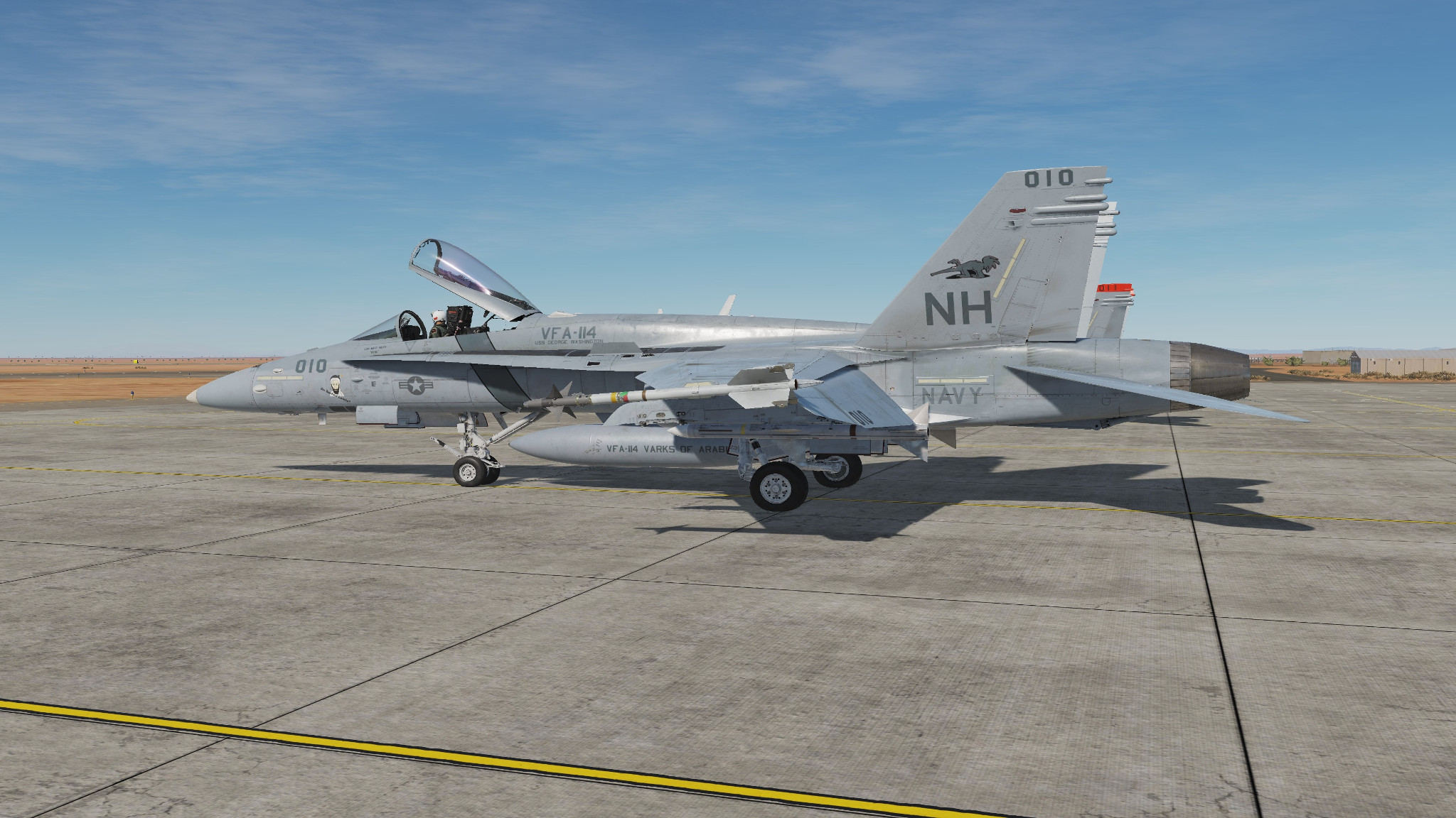 F/A-18C VFA-114 Aardvarks LowViz CDR Matt Hicks (Fictional) V1.1