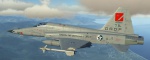 Ace Combat 5 North Osea Gründer Industries F-5E-3 Tiger II Skin