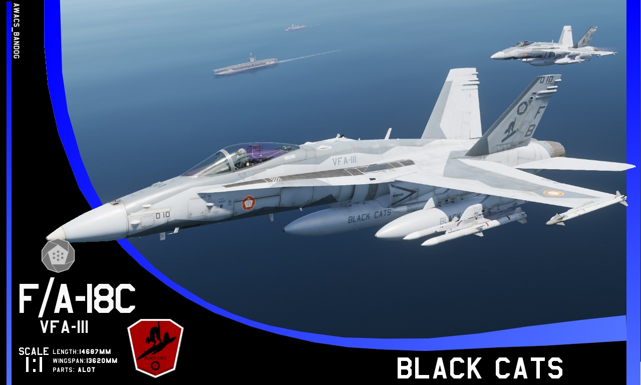 Ace Combat - Federal Erusean Navy Strike Fighter Squadron 111 "Black Cats"