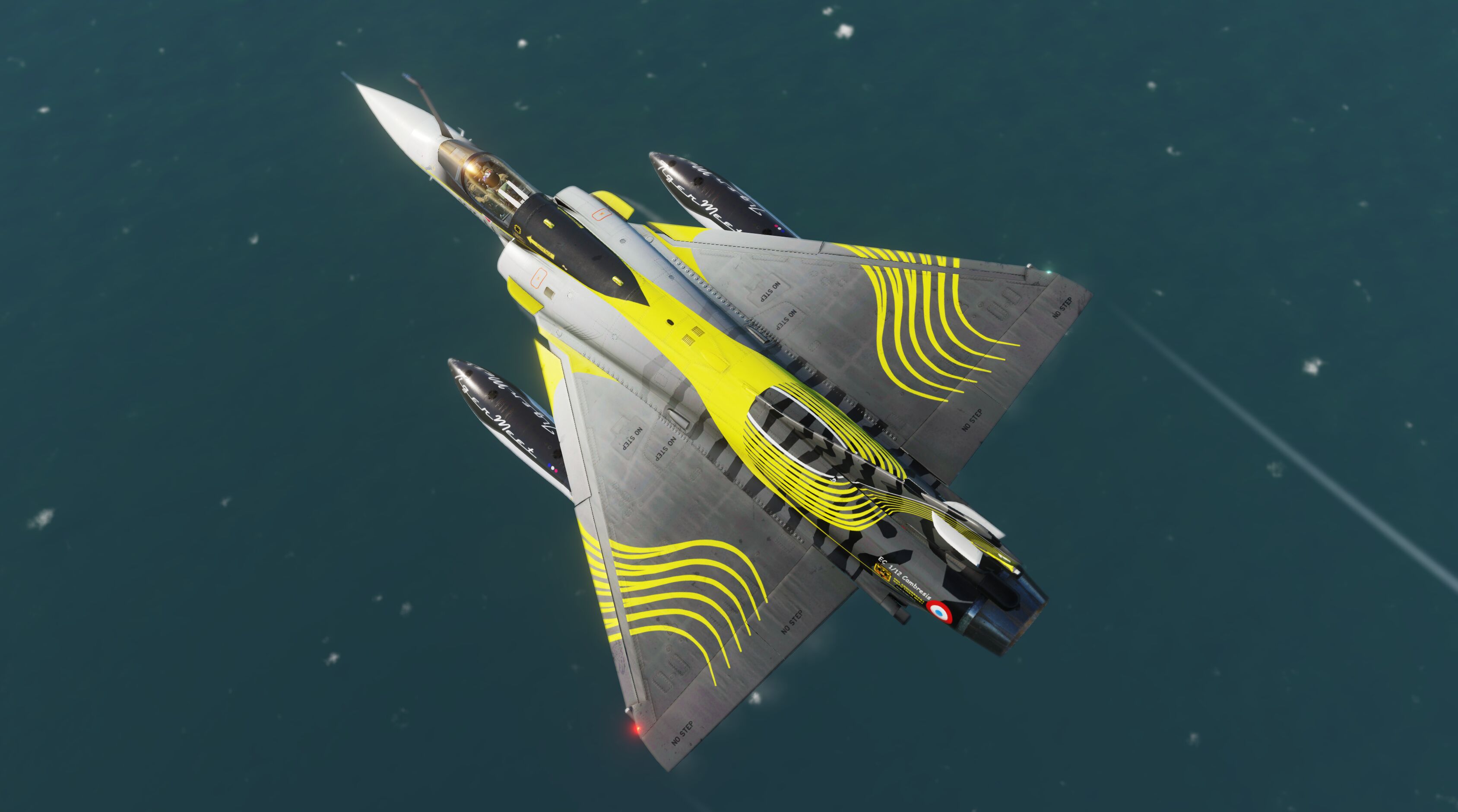 Mirage 2000C NATO TIGER MEET 2011 103 LI Cambresis