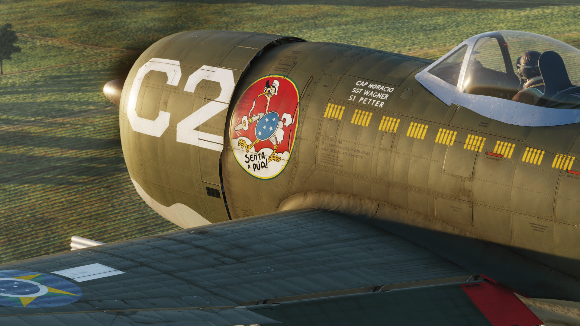 1st Brazilian Fighter Squadron / 1º Grupo de Aviação de Caça - "Blue Two" C2