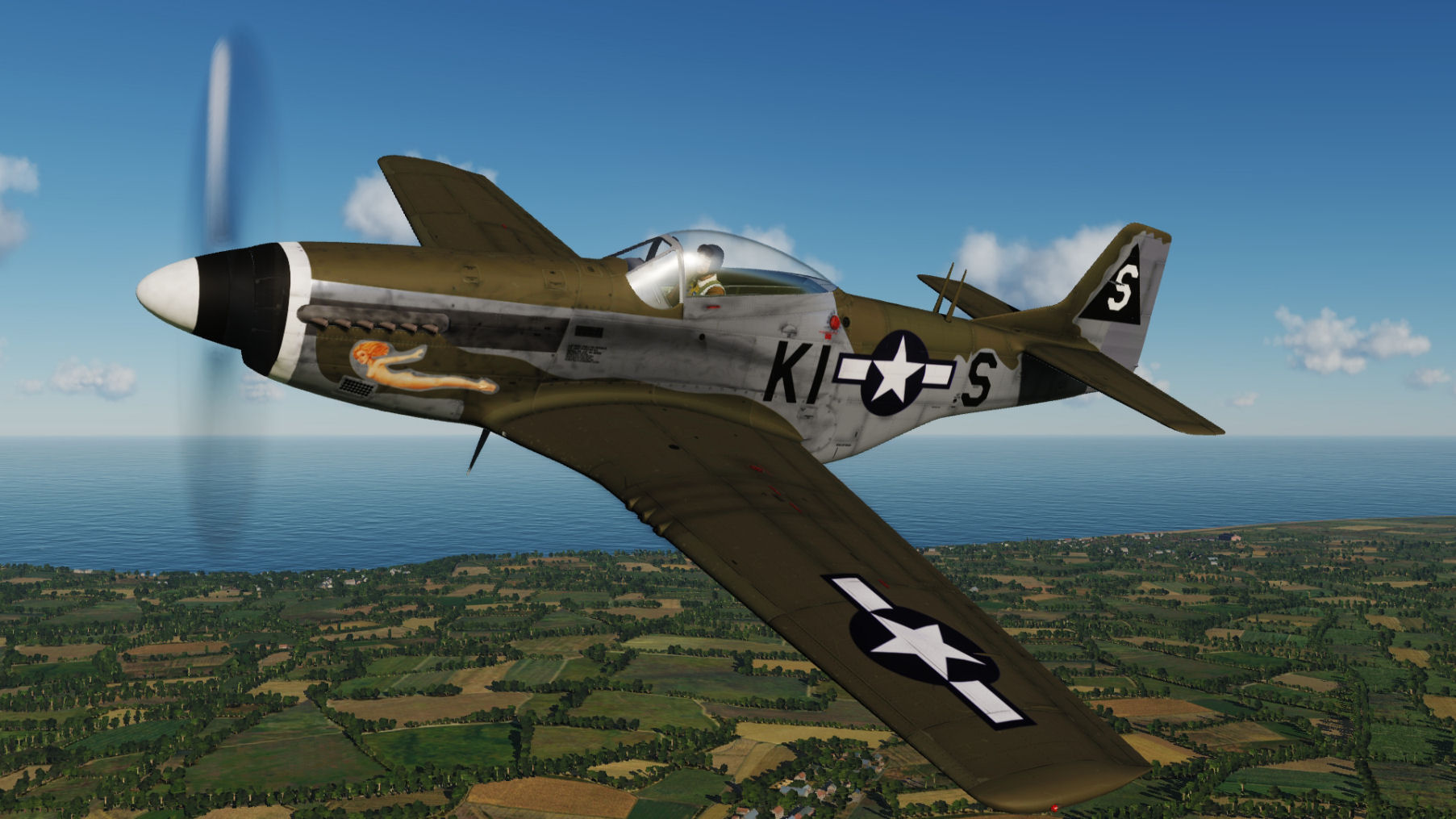 A Nameless Beauty 44-13859 KI-S 20FG, 55FS