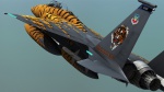 F-15C Tigermeet