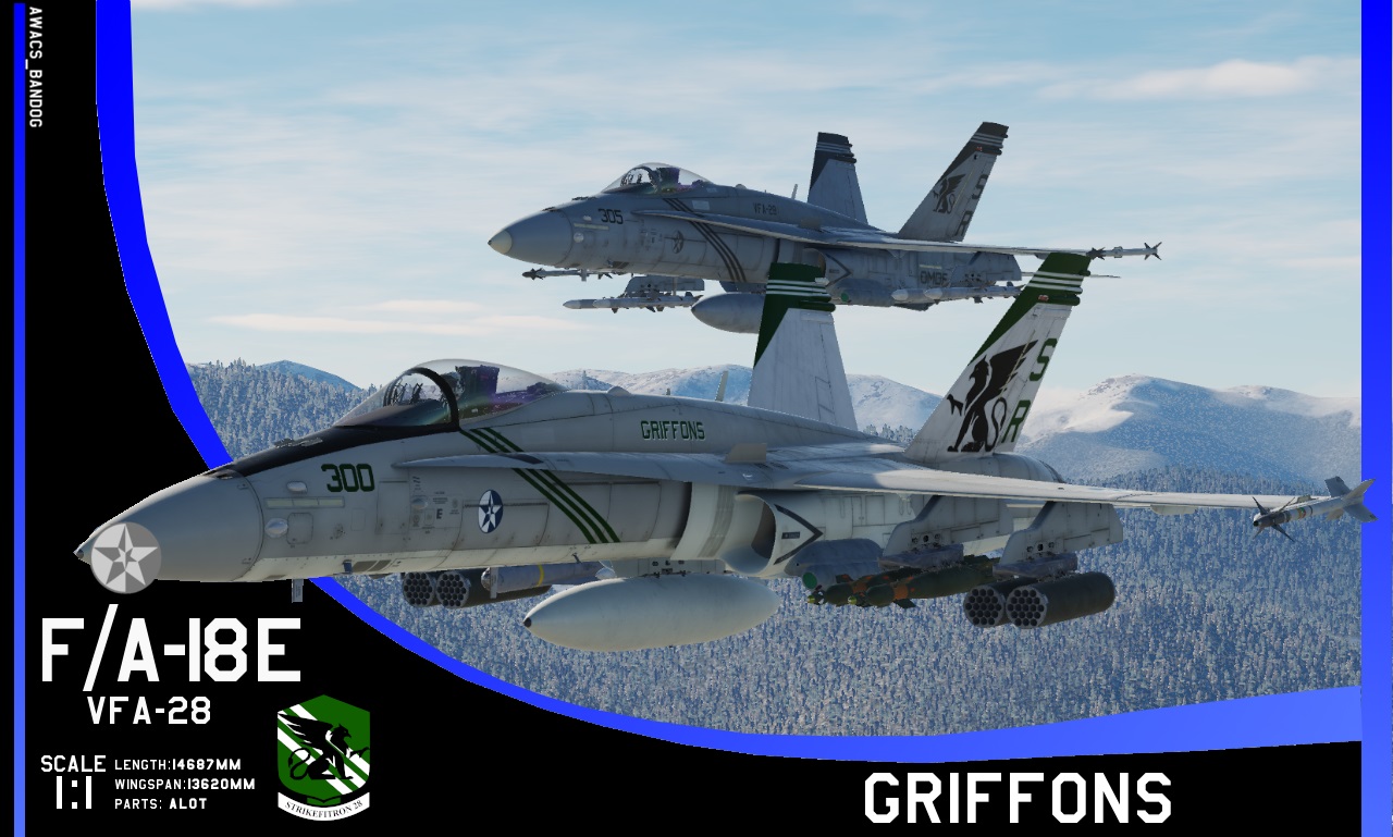 Ace Combat - Strike Fighter Squadron 28 "Griffons"