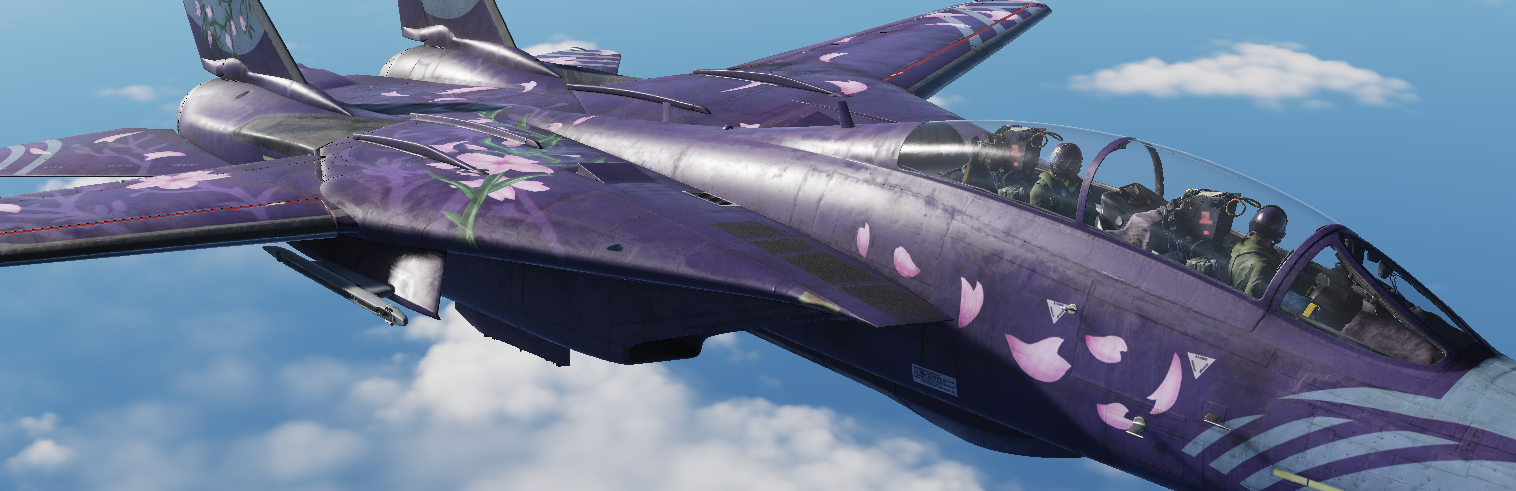 Ace Combat  F-14D Zipang livery 