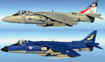 Royal Navy Anniversary Harriers