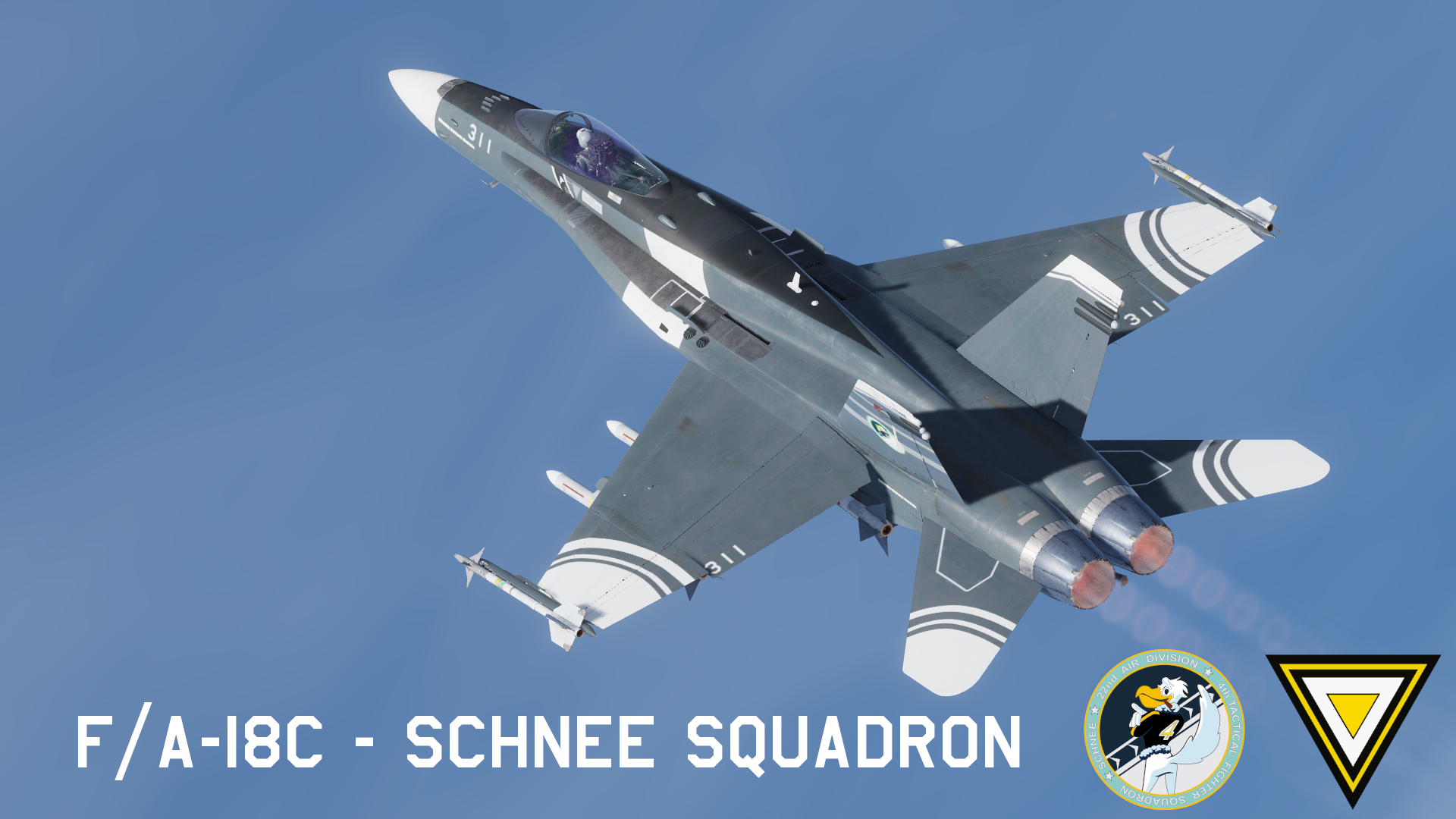F/A-18C -Schnee Squadron- Ace Combat Livery