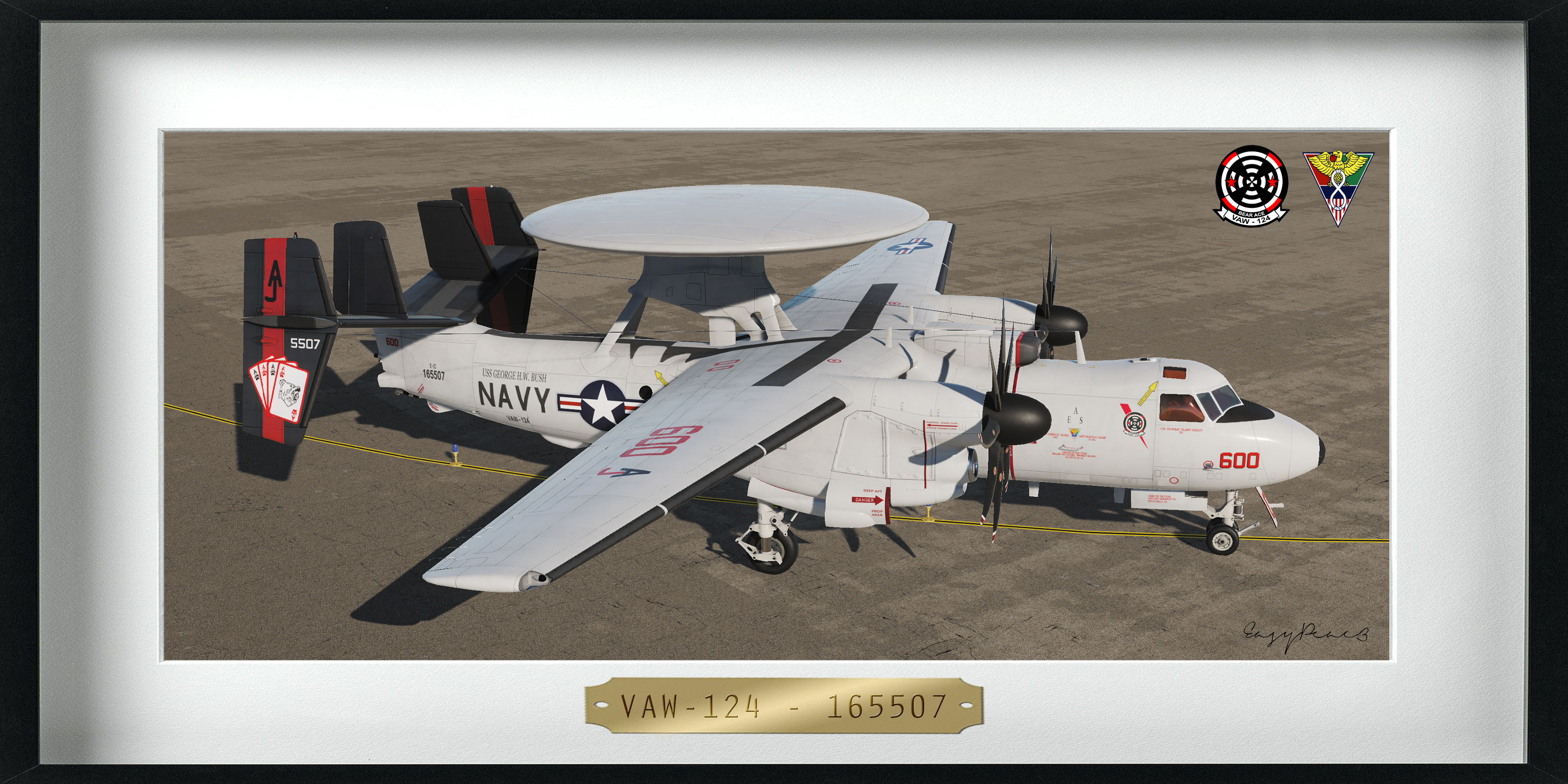 VAW-124 - "Bear Aces" - 165507 (4K)