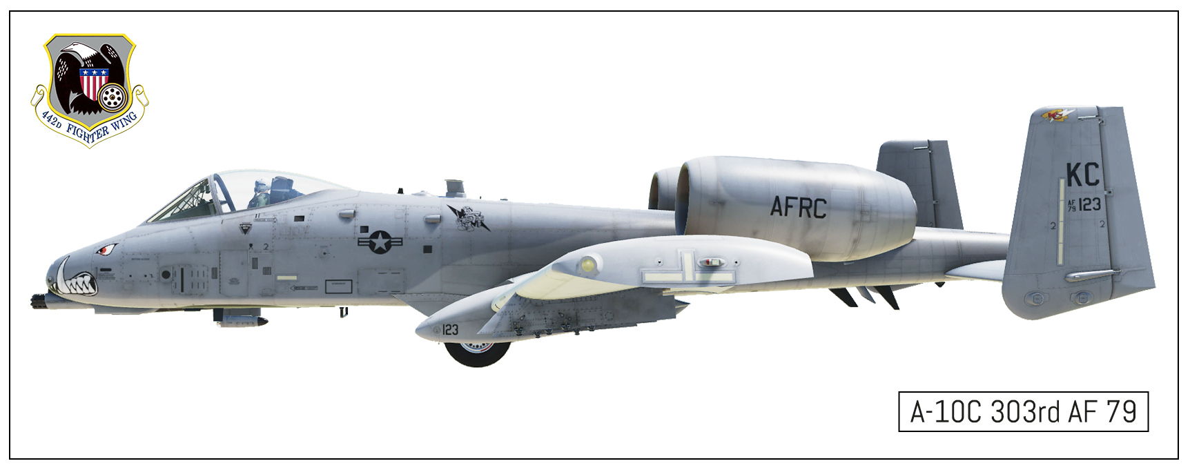 A-10A/C/CII 303rd AF 79 (442d) Skins (2.1)