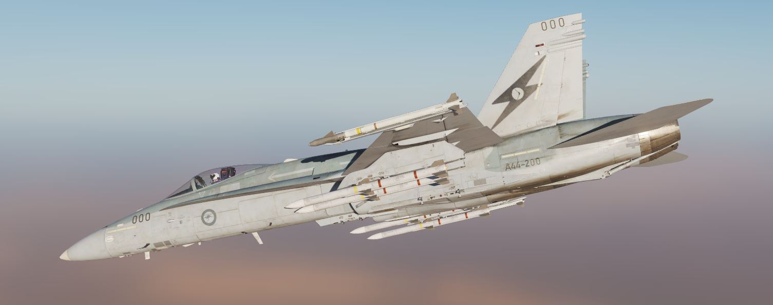 RAAF F/A-18 1SQN & 6SQN Low-Vis