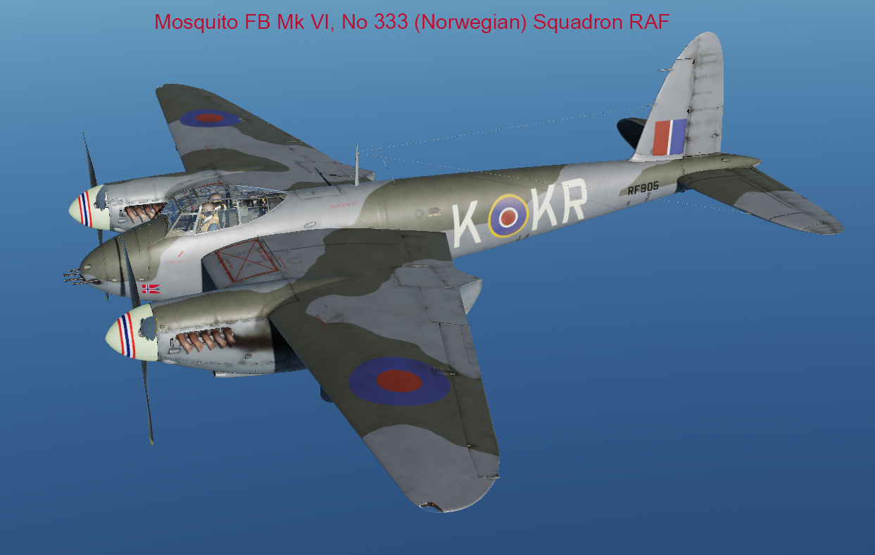 No333_sqd_RAF.jpg