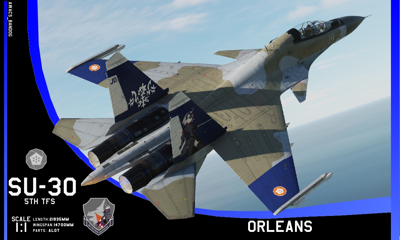 Ace Combat - Erusean Air Force 5th Tactical Fighter Squadron 'Orleans'