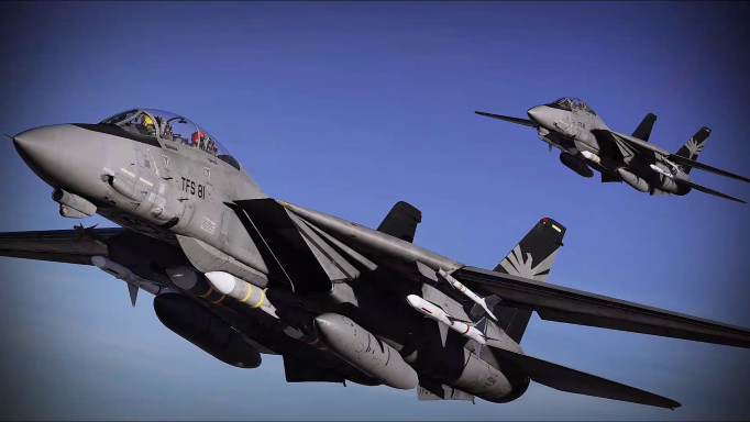 "TFS 81" F-14A Tomcat Skin