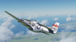 P-51 D 'Salem Representative' 334th FS, 4th FG
