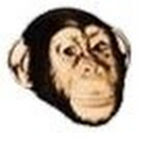 F 18C WTI-1 Manual Bombing Procedures