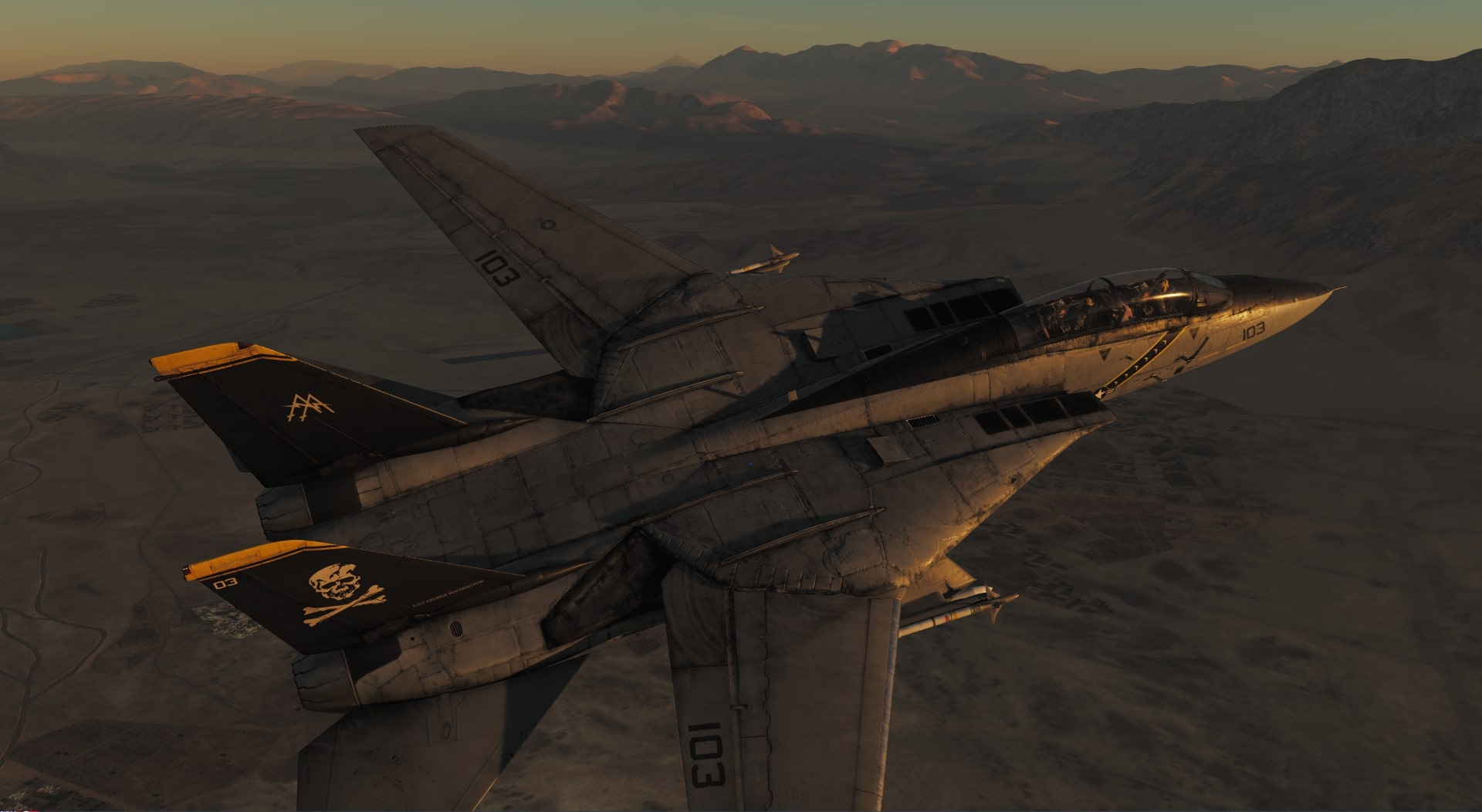 VF-103 Jolly Rogers Hi Viz DBYB