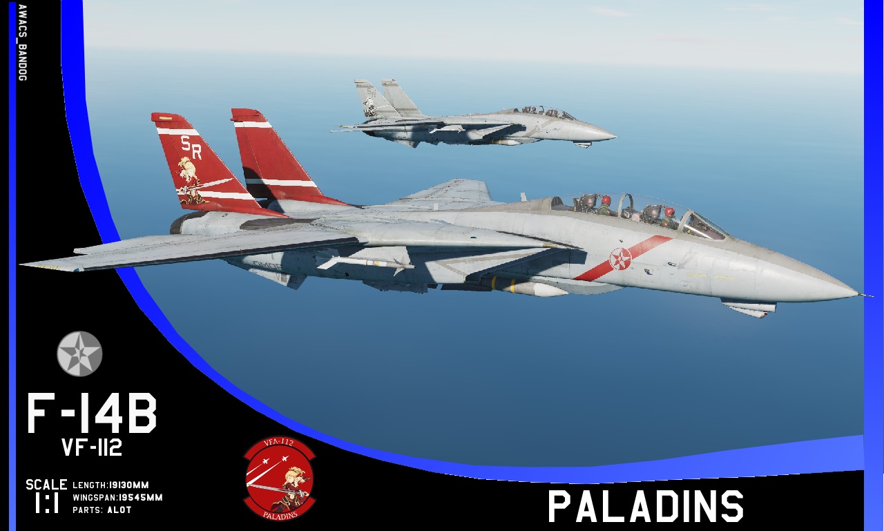 Ace Combat - VF-112 'Paladins' F-14 Tomcat Operational Pack