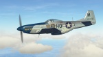 P-51 D 'Petie 2nd' 487th FS, 352nd FG