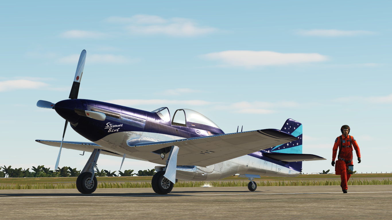 TF-51D/P-51D Fictional Airshow Livery - Stunning Blue